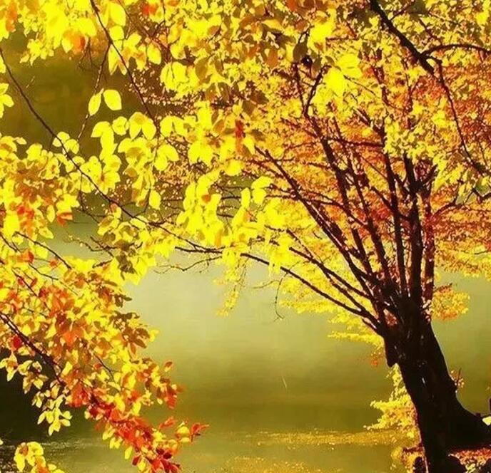 1506648119913060.jpg QQ截圖20170929092333.jpg