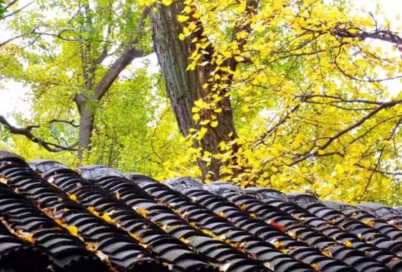 換套屬於自己（jǐ）心情的門窗，讓你愛上這個秋天。